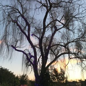 Meet your Posher, Laurel